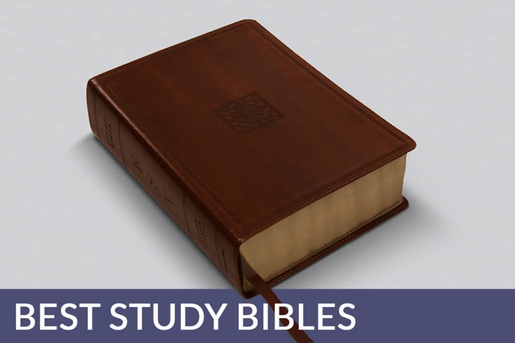 Study Bibles