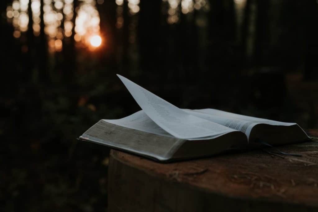 An open Bible with pages flipping