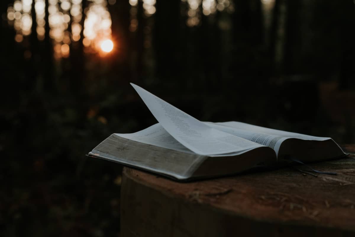 The Main Message of the Bible: Its Central Theme & Purpose