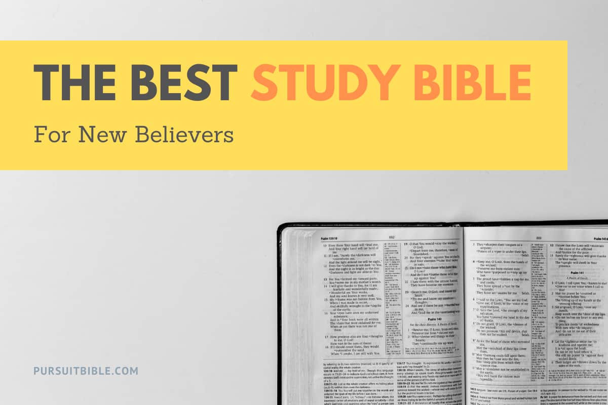 Best Study Bible for New Believers