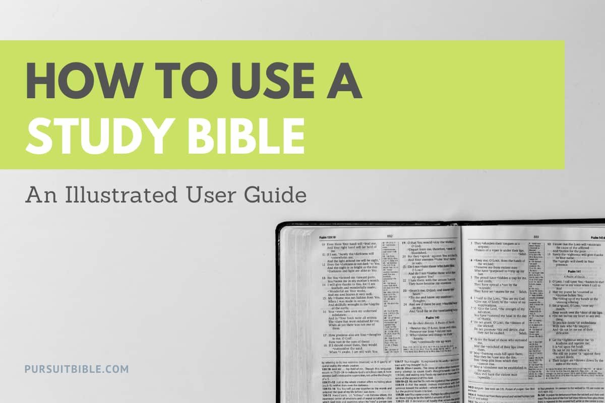 How to Use a Study Bible: A Helpful Illustrated Guide