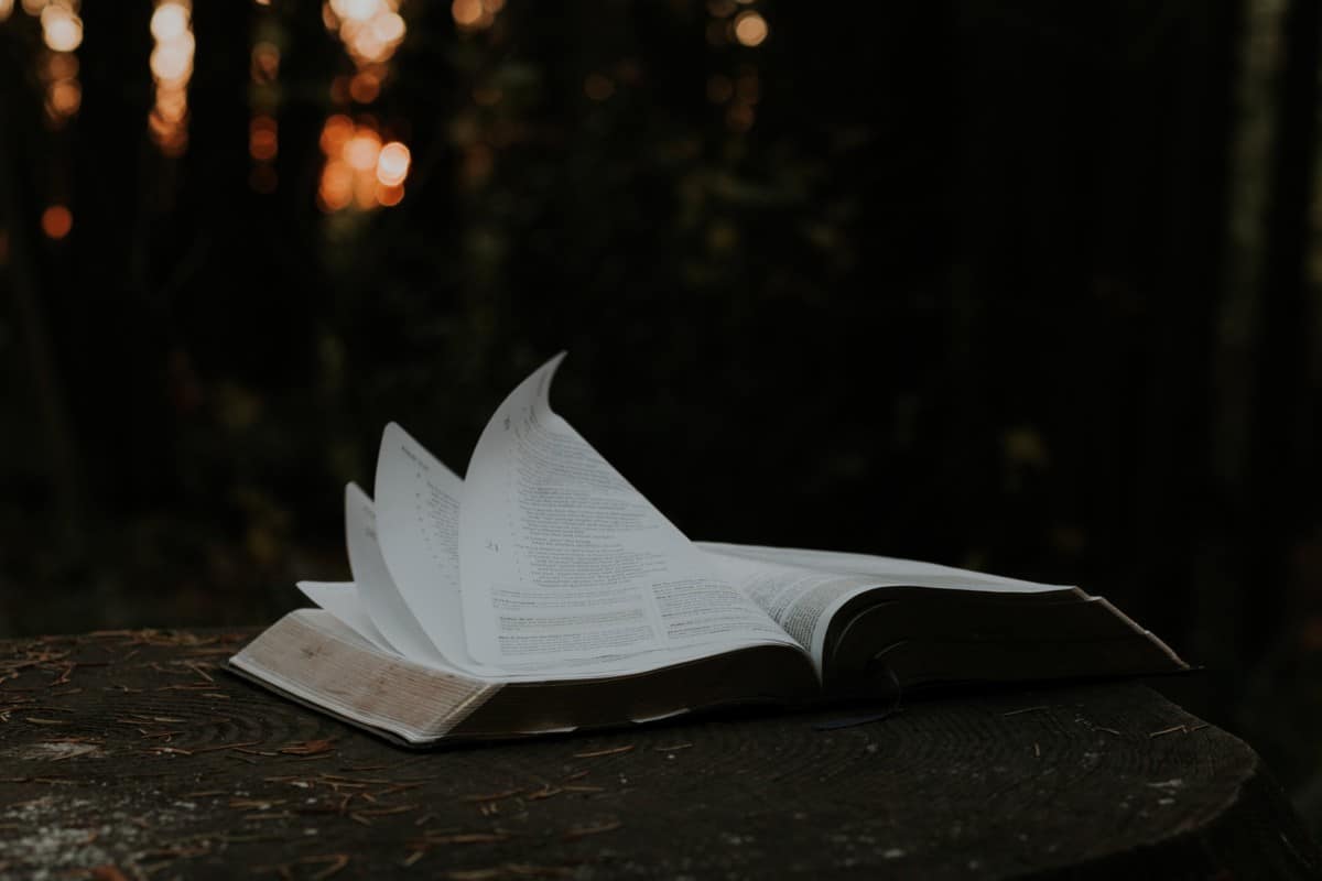 Should You Read the Bible in Order? Here are the Best Options