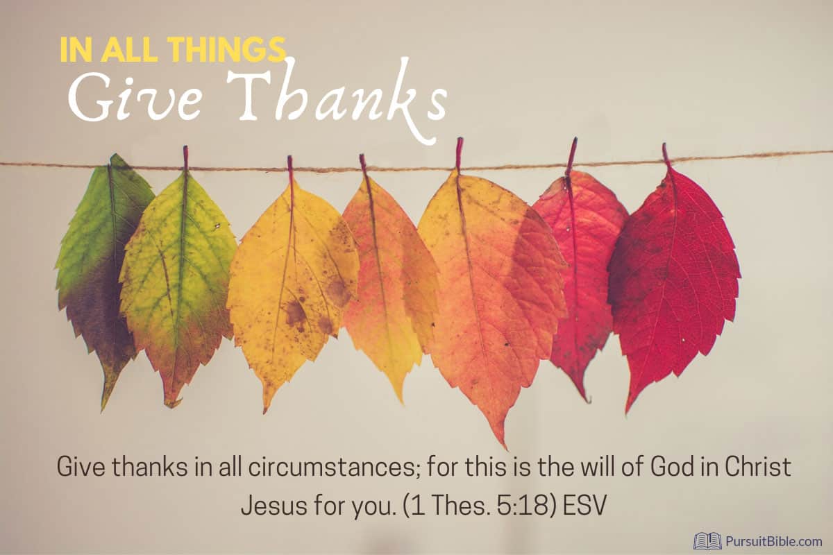 In All Things Give Thanks: Biblical Meaning & Power of Thanksgiving