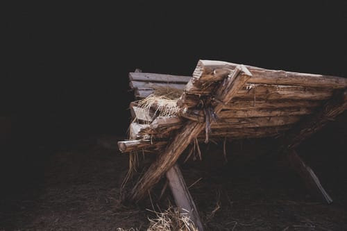 A manger is a feeding trough for animals.